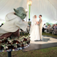 Illustration for article titled This couples wedding may have been the geekiest wedding ever